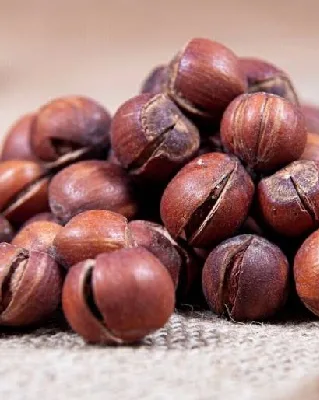 فندق ایرانی نمکی